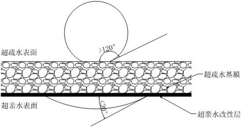 Asymmetric ultra-hydrophilic/hydrophobic dual-property polymer membrane and preparation method thereof