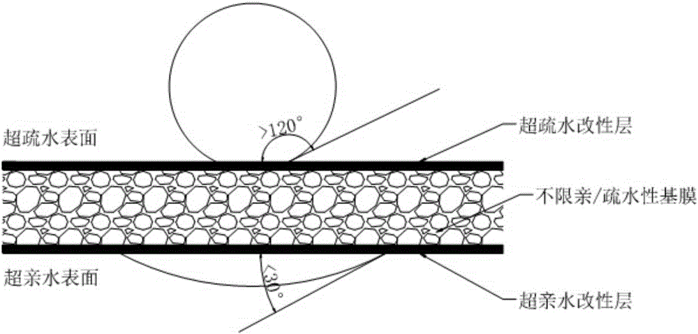 Asymmetric ultra-hydrophilic/hydrophobic dual-property polymer membrane and preparation method thereof