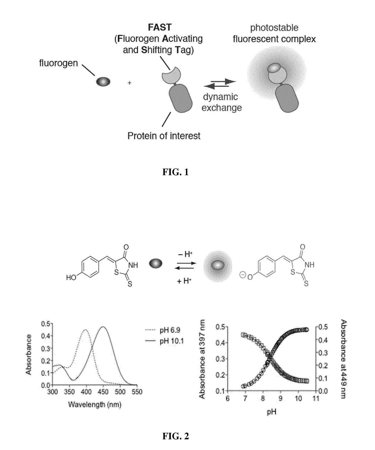 Fluorogen activating and shifting tag (FAST)