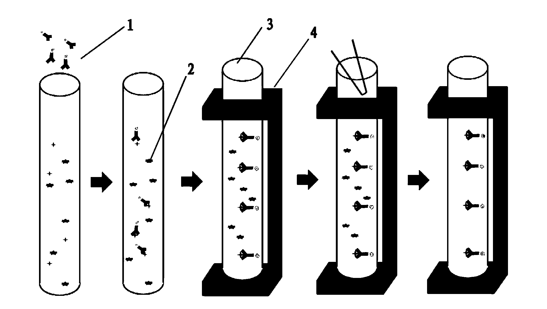 Method for detecting cryptosporidium parvum and detection kit