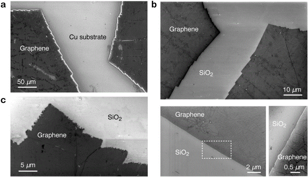 Method for transferring graphene by using micro-molecule paraffin