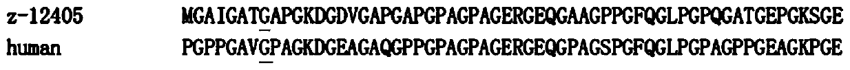 Pathogenic mutation of osteogenesis imperfecta disease and detection reagent of pathogenic mutation