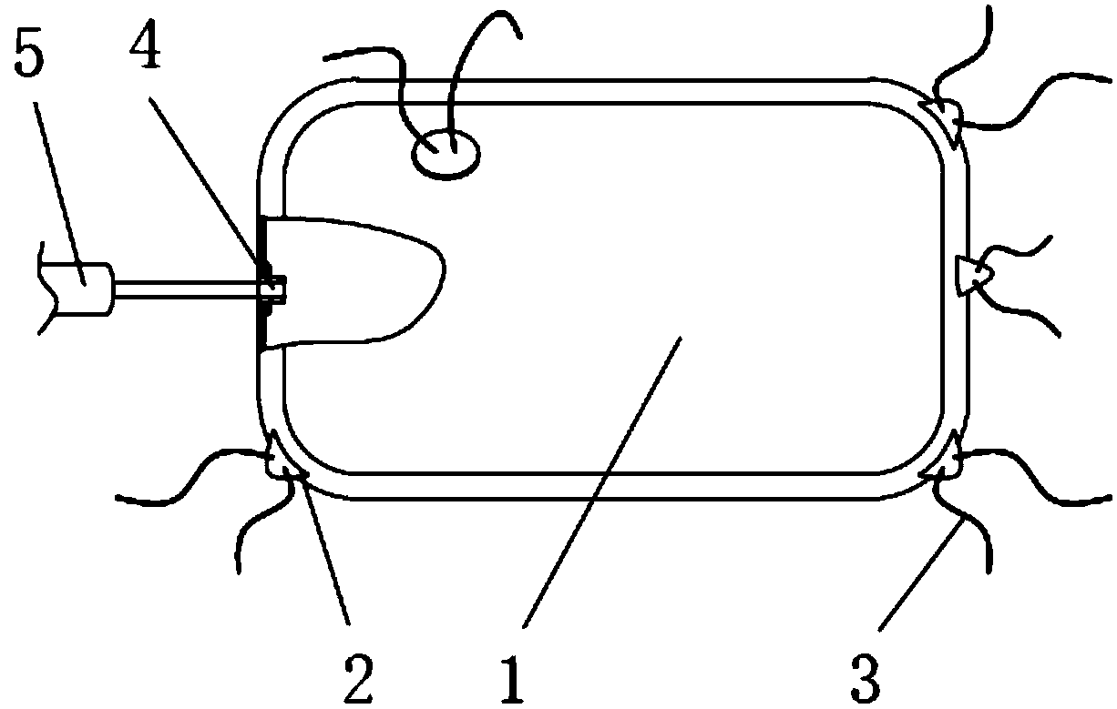 Fixable inflatable saccule