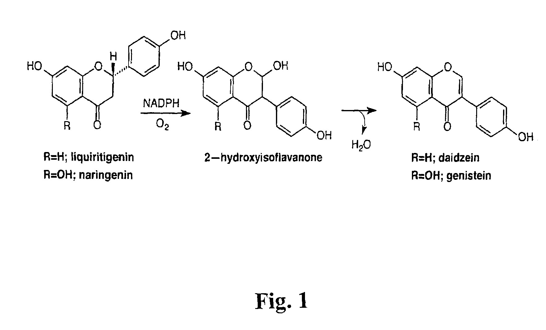 Genetic manipulation of isoflavonoids