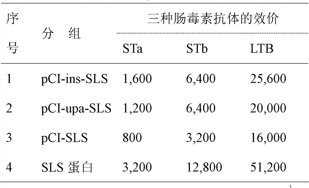 Fusion of multiple enterotoxin genes of escherichia coli and application thereof