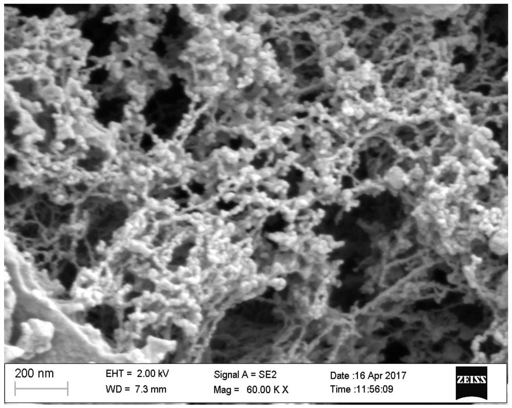 tio  <sub>2</sub> Preparation method of /mof-5 composite photocatalyst