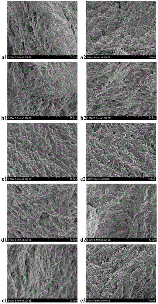 Preparation method and use of white-rot fungus mycelium biological adsorbent