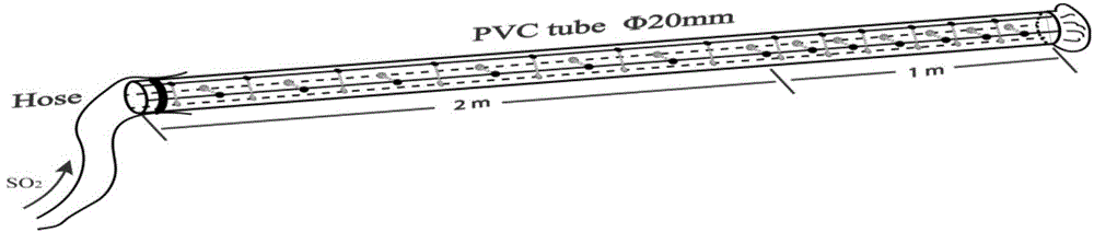 Method for preserving crop straw through sulfur dioxide and application