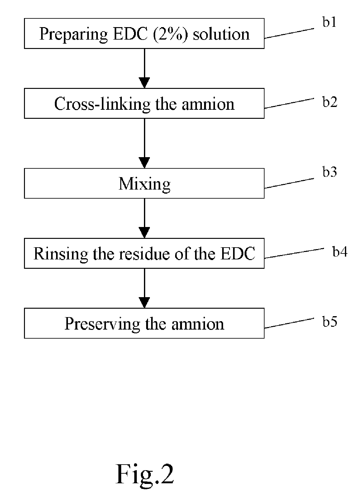 Method of cross-linking amnion to be an improved biomedical material