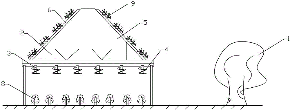 Planting method of rosa roxbunghii