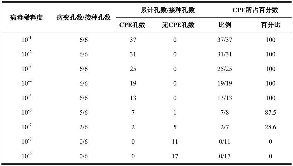 Application of rosmarinic acid in preparation of medicine for inhibiting varicella-zoster virus