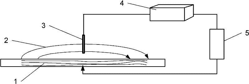 Natural magnetizing phenomenon-based austenitic stainless steel plastic damage quantitative detection method