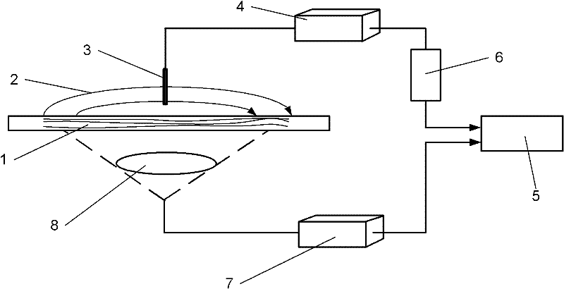 Natural magnetizing phenomenon-based austenitic stainless steel plastic damage quantitative detection method