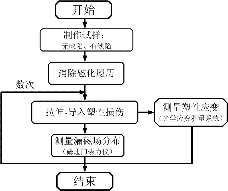 Natural magnetizing phenomenon-based austenitic stainless steel plastic damage quantitative detection method