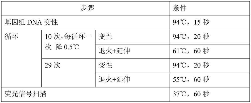 KCNMA1 gene SNP marker usable for assisting in accurate medication of clopidogrel