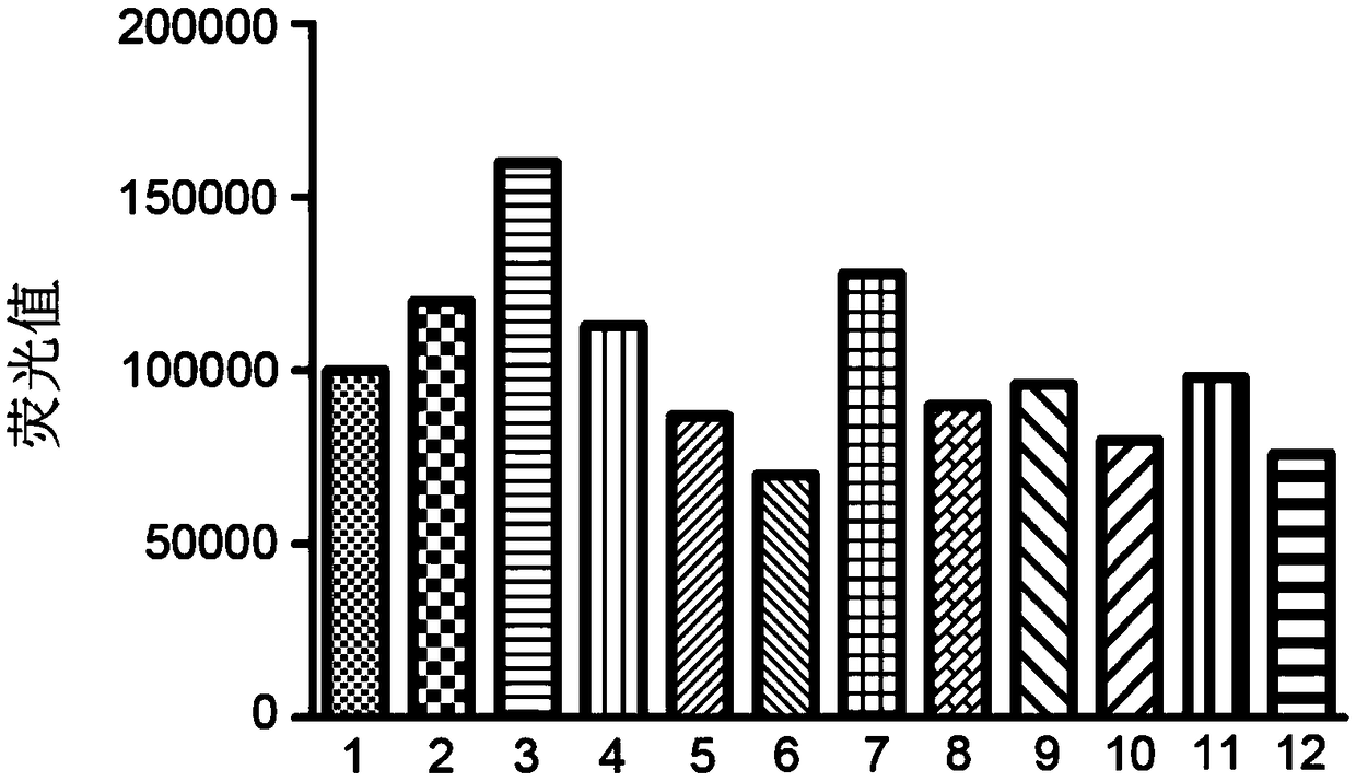 Method for screening stem cell homing promotion drugs, recombinant vector and cell strain