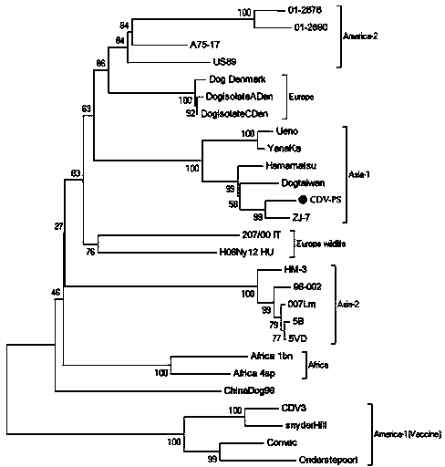 Kit for detecting canine distemper virus blocking ELISA (Enzyme Linked Immunosorbent Assay) antibody of mink, fox and raccoon dog