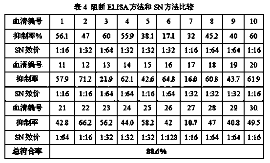 Kit for detecting canine distemper virus blocking ELISA (Enzyme Linked Immunosorbent Assay) antibody of mink, fox and raccoon dog