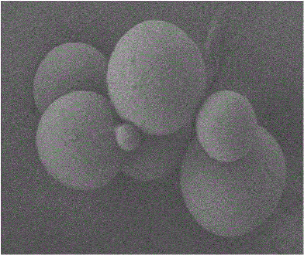 Amifostine slow-release microspheres for subcutaneous injection and preparation method thereof