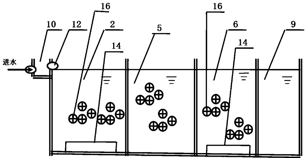 Anaerobic ammonium oxidation biochemical treatment method for coking waste water