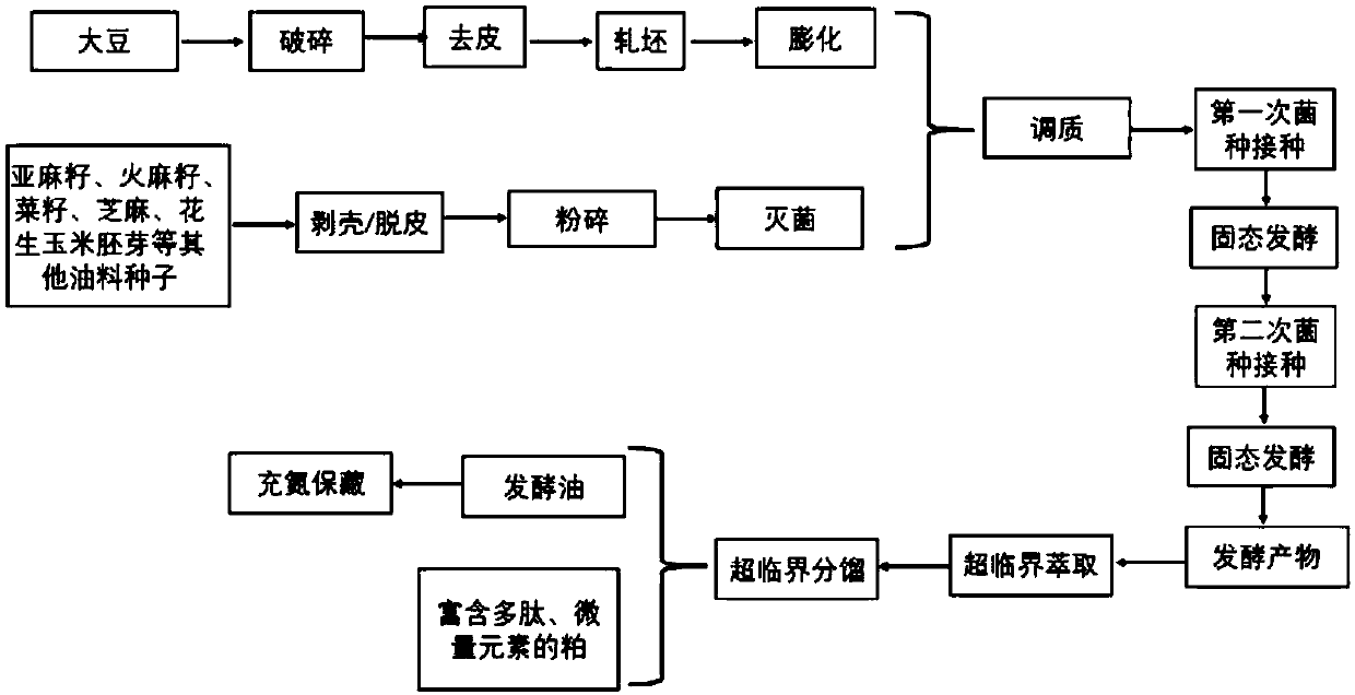 Method for preparing functional oil by segmented solid state fermentation of mixed fungus