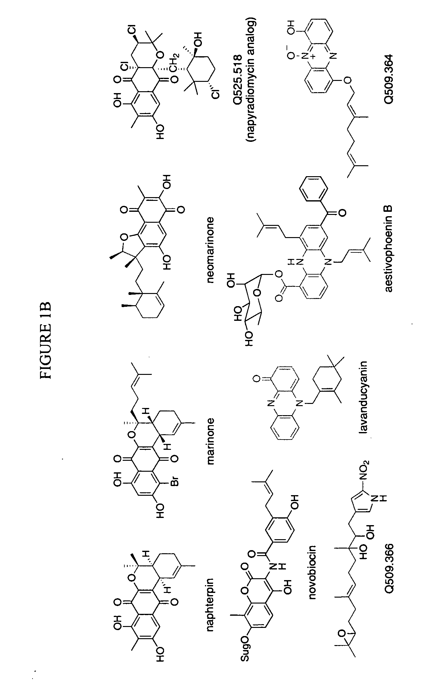 Novel aromatic prenyltransferases, nucleic acids encoding same and uses therefor