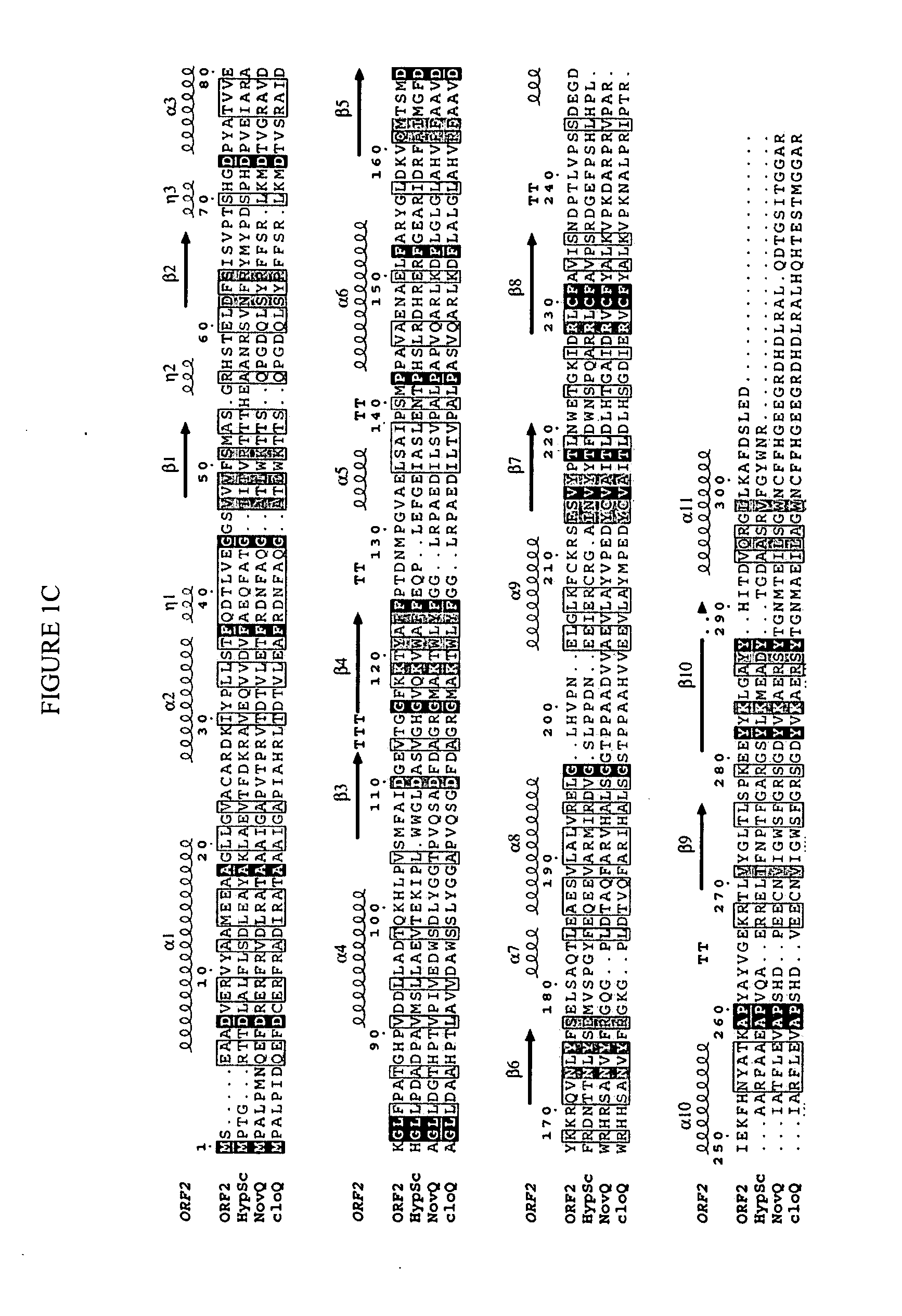 Novel aromatic prenyltransferases, nucleic acids encoding same and uses therefor