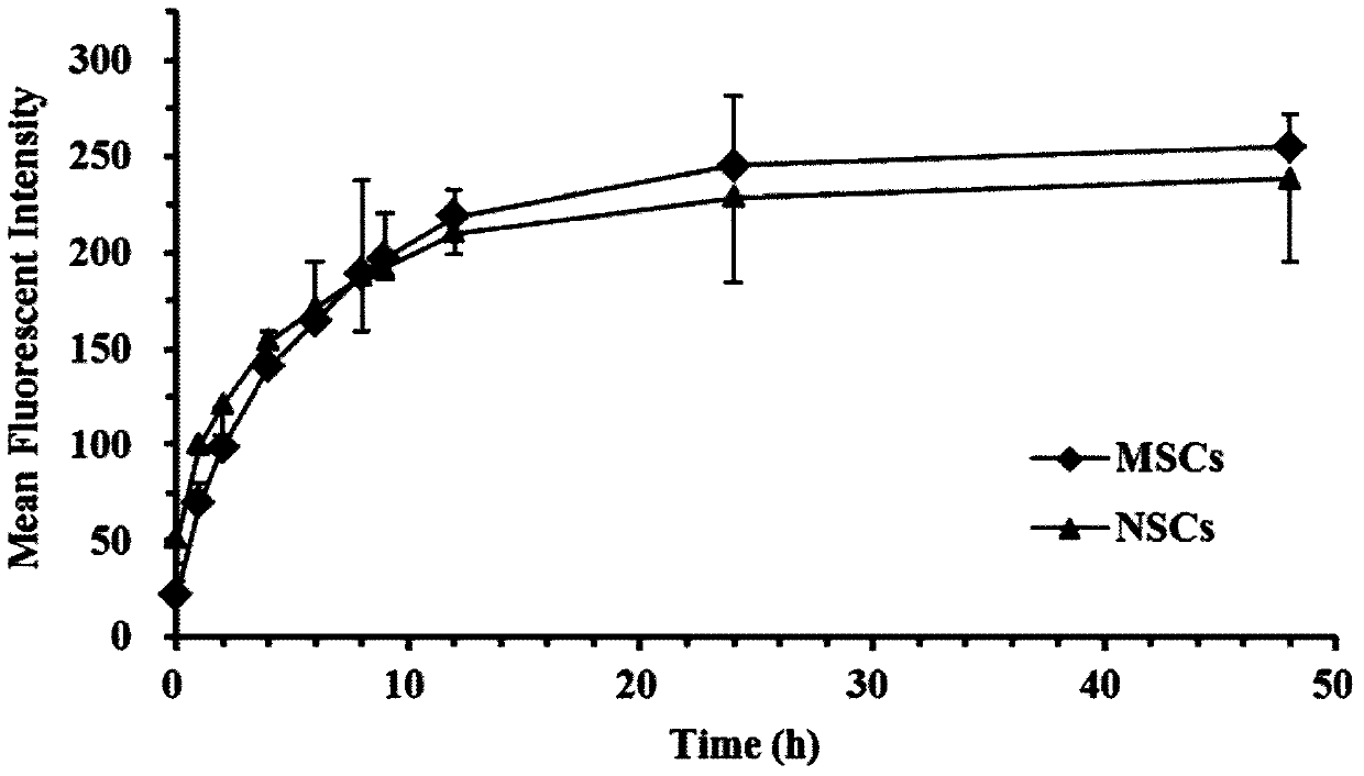 A stem cell tumor targeting system loaded with nano-prodrug and its preparation method