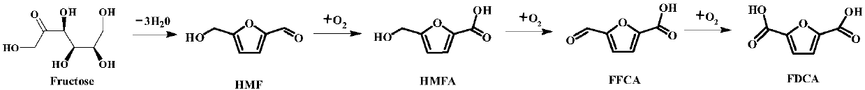 One-pot and one-step method for preparing 2,5-furandicarboxylic acid from fructose