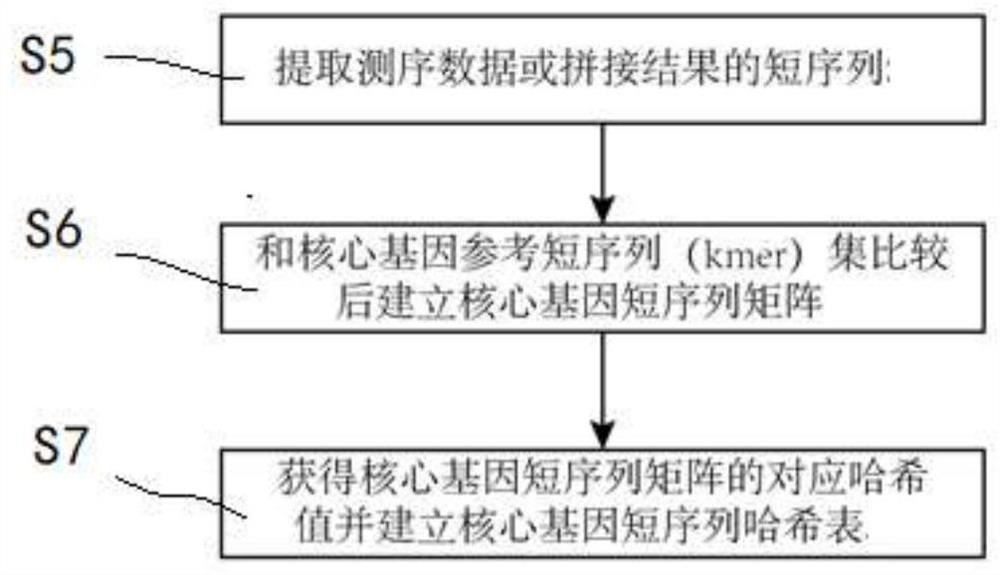 Sample pathogenic bacterium typing method and system