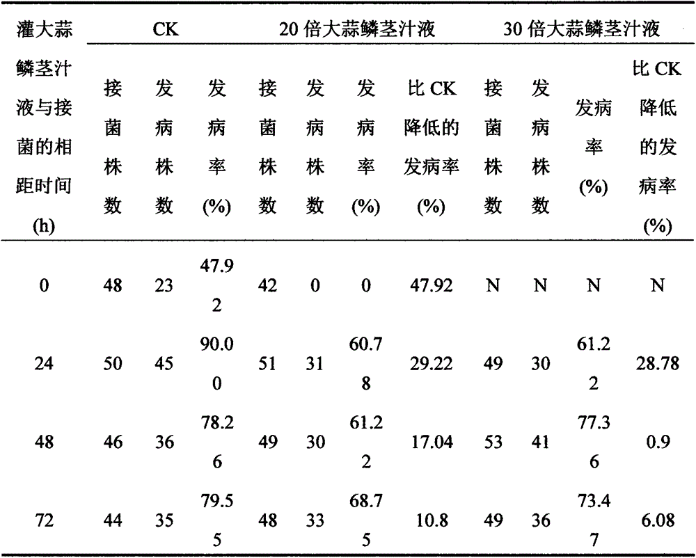 Application of garlic bulb juice in controlling pepper phytophthora blight