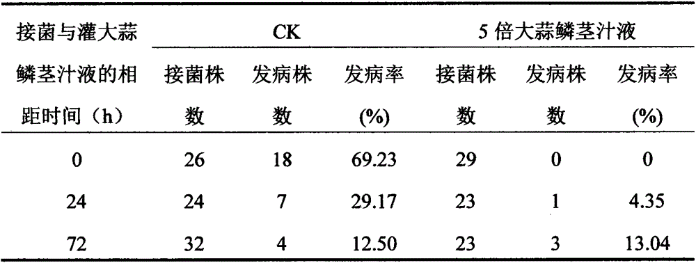 Application of garlic bulb juice in controlling pepper phytophthora blight