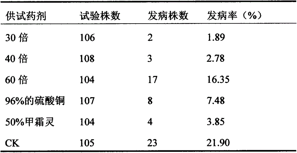 Application of garlic bulb juice in controlling pepper phytophthora blight