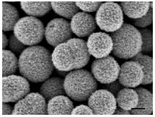 Oxygen vacancy modified metal oxide gas sensitive material for low-concentration NO2 gas detection at low temperature and preparation method thereof