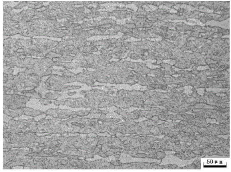 00Cr13Mo corrosion-resistant ferrite stainless steel