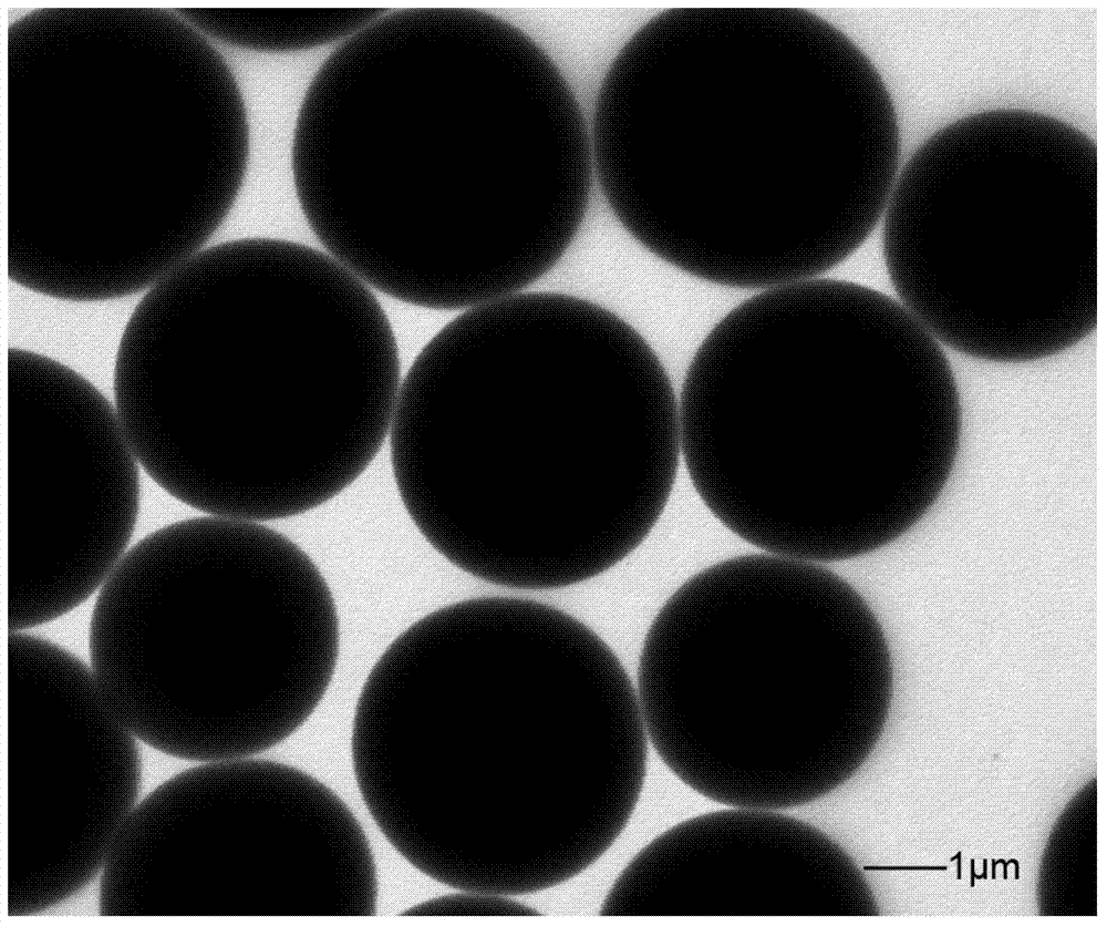 Multi-template monodisperse active notoginsenoside molecular imprinted polymer and preparation method thereof