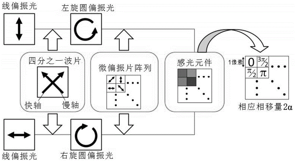 Digital electronic shear speckle interferometer based on micro-polaroid array