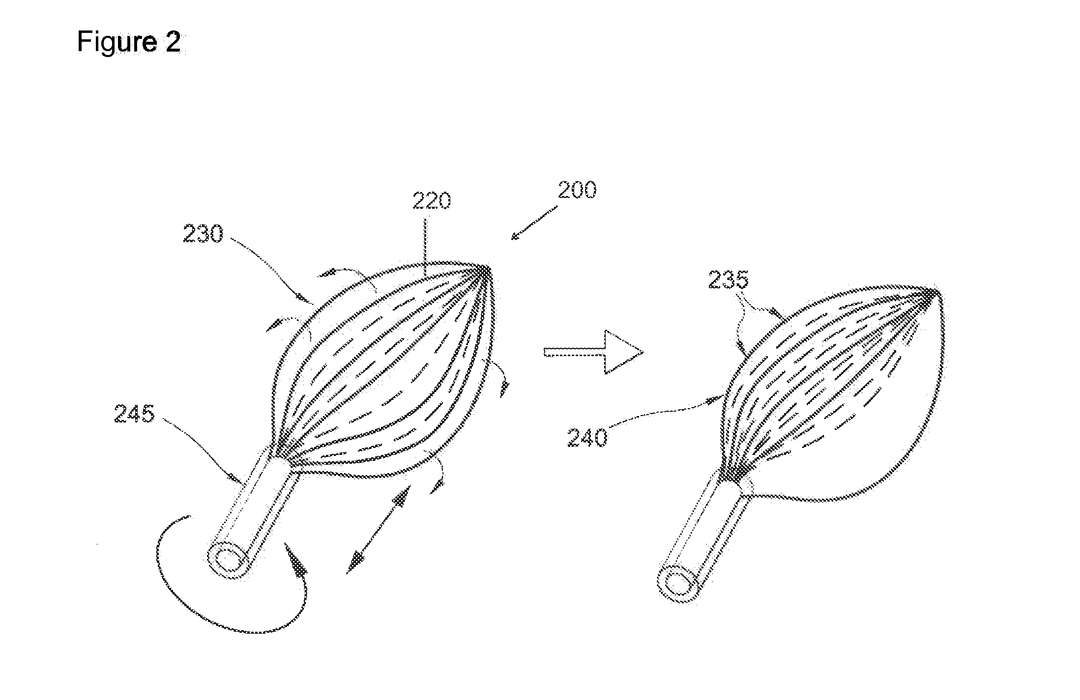 System and method of identifying sources for biological rhythms