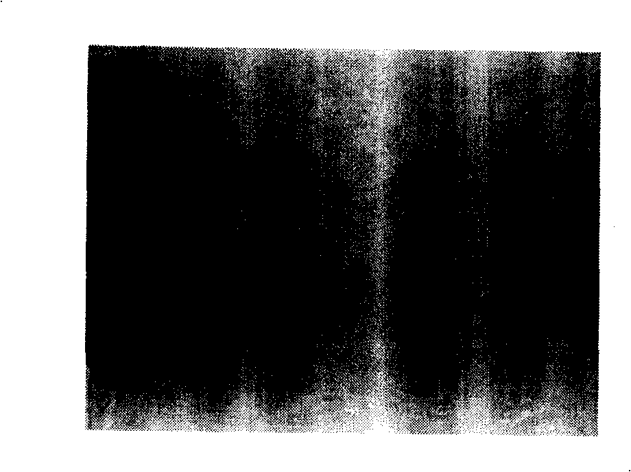 Machine vision based LCD spot flaw detection method and system