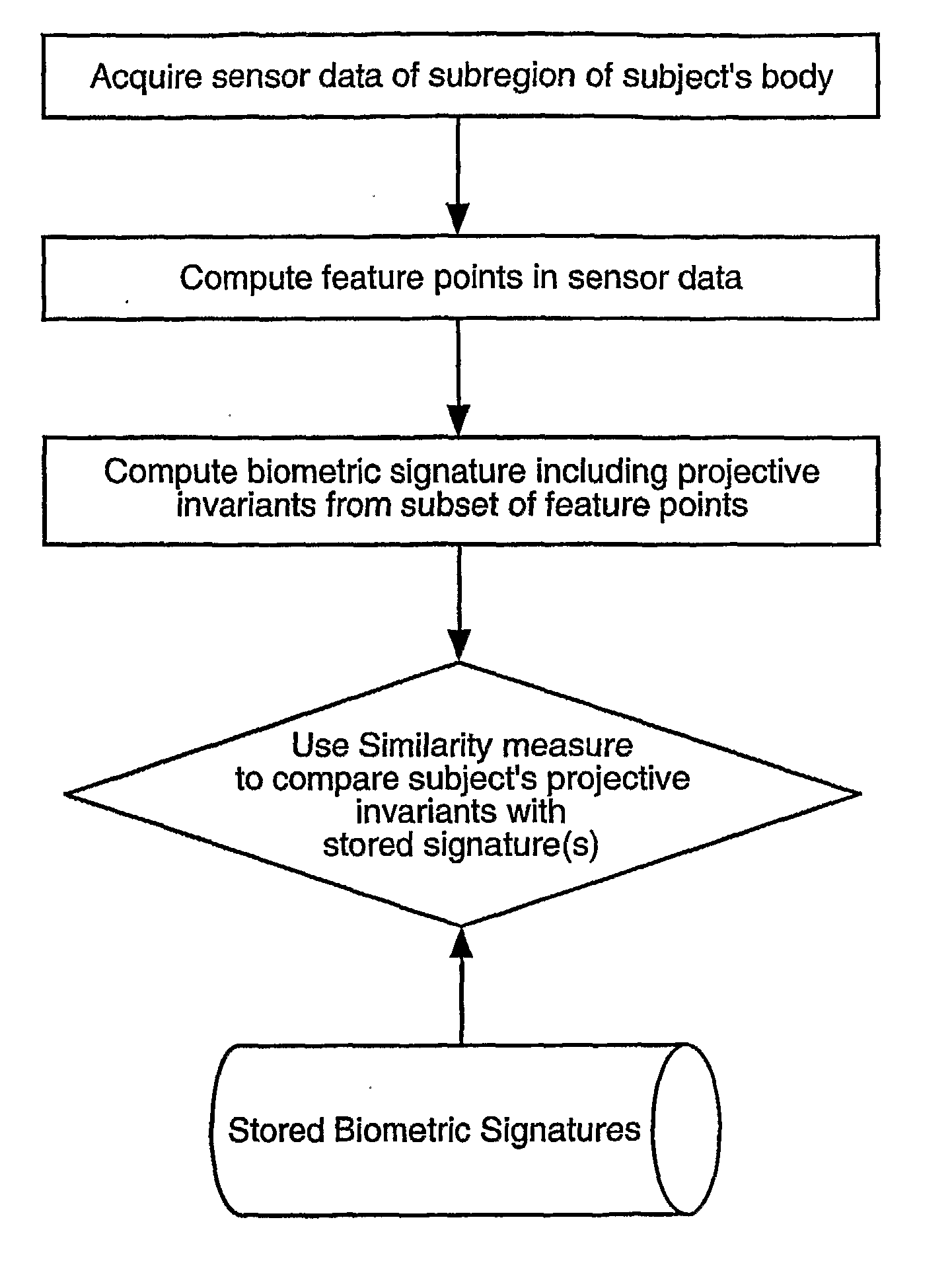 Biometric signatures and identification through the use of projective invariants