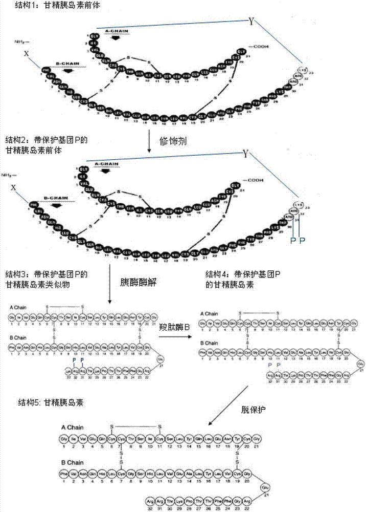 Preparation method of insulin glargine and analogue thereof