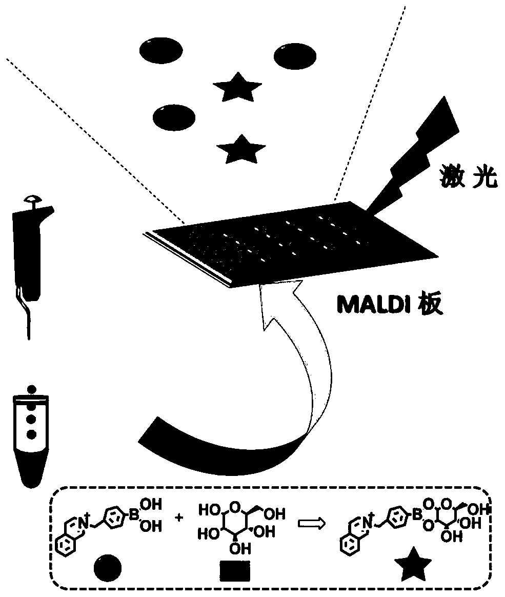 A method for quantitatively detecting glucose in serum