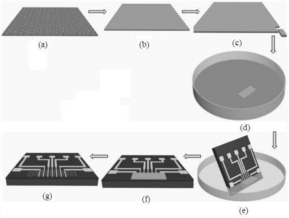 A kind of preparation method of graphene field effect transistor biosensor