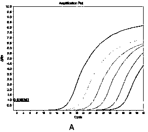 SYBR GreenI fluorogenic quantitative PCR detection method for hepatitis B virus