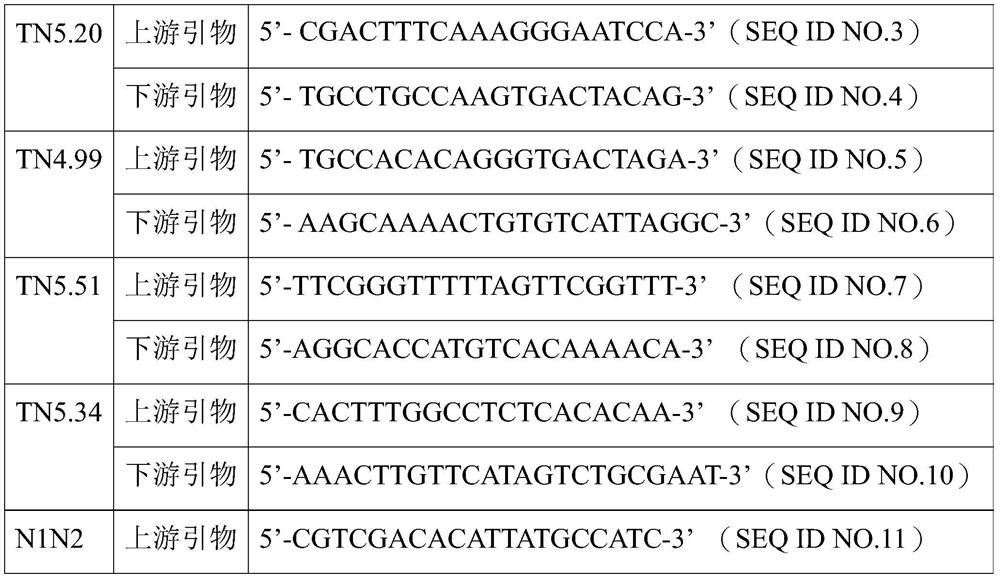 Application of short n import fragments in tobacco and its screening and estimation methods