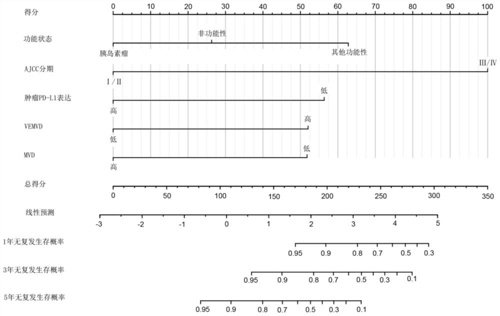 PNET recurrence risk prediction model based on basic clinicopathological information and VISTA testing