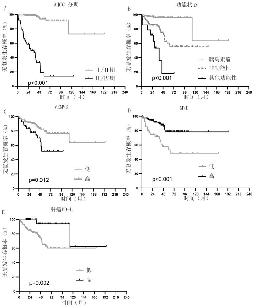 PNET recurrence risk prediction model based on basic clinicopathological information and VISTA testing