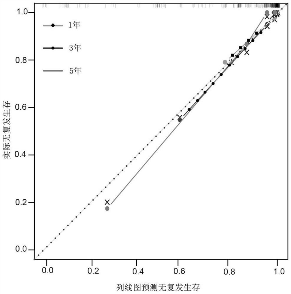 PNET recurrence risk prediction model based on basic clinicopathological information and VISTA testing