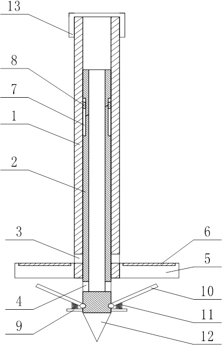 A kind of bamboo shoot protection device and protection method for preventing and treating needleworm