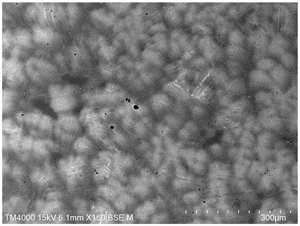 A thermomechanical treatment method for controlling the fine-grain structure of tial alloy